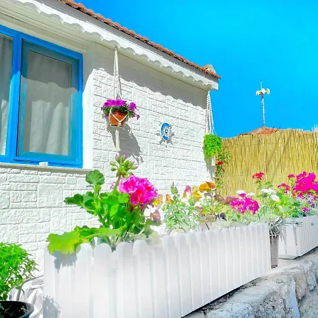 Tiny House Focha * Foca