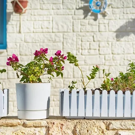 Tiny House Focha * Foça