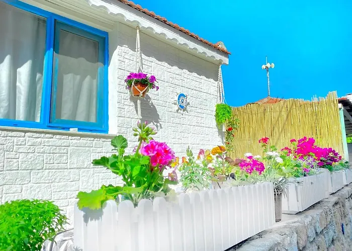 Tiny House Focha * Foça