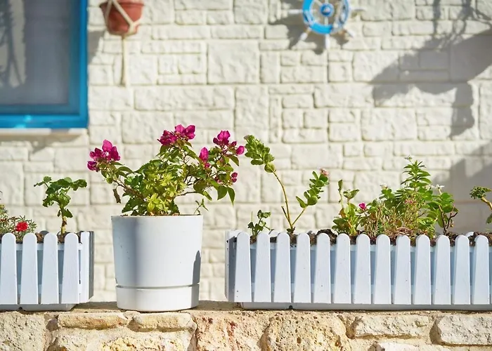 Tiny House Focha * Foca